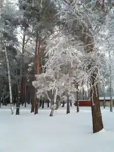 Кристалл - 28