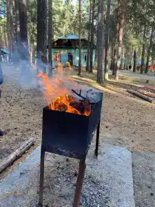 Зенит - 38
