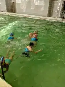 Сосновые родники - 16