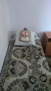 в Варварино - 9