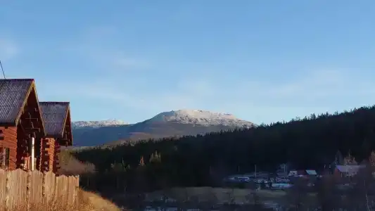 Тайга - 60