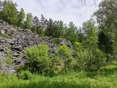 Кинтереп - 21