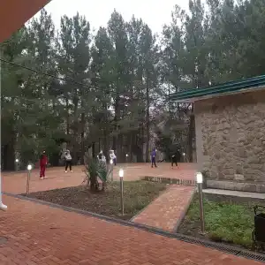 Сосновый - 18