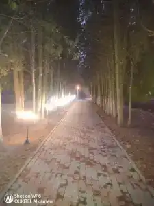 Борок - 40
