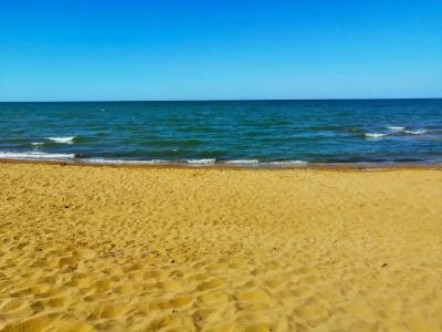 Простоквашино на Азове - 17