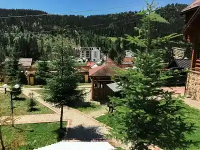 Фиеста - 14