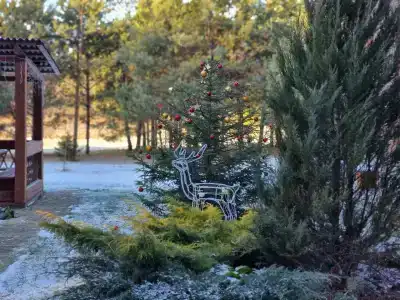 Лесной Эдем - 43