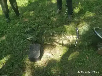 Три Пескаря - 3