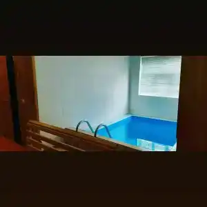 Орхидея - 18