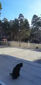 Аленушка - 67