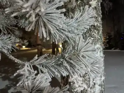 Авиаретро - 61