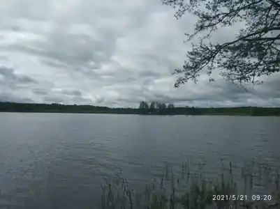 Три Пескаря - 0