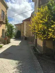 Роза Ветров - 38