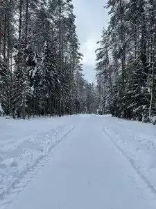 Двухкомнатный коттедж - 81