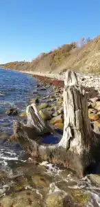 Автокемпинг Море-Пляж - 28