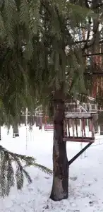Каштак - 16