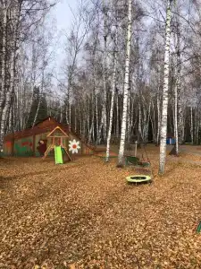 Кристалл - 24