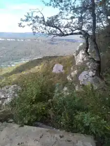 Золотая рыбка - 41