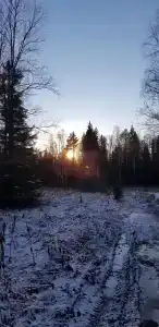 Веселый ключ - 44