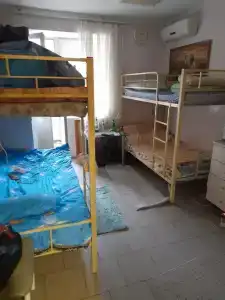 Новый - 8