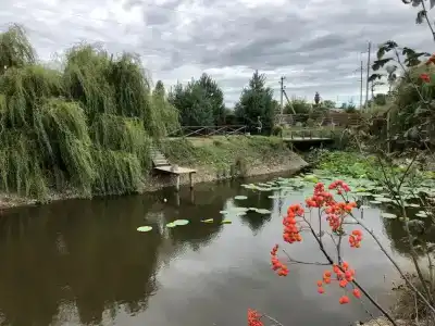 Афродита - 87