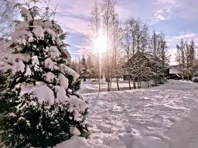 Родная Усадьба - 14