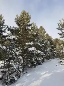 Кучигер - 32