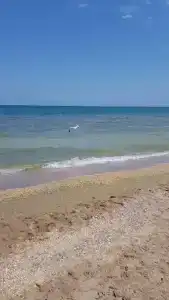 Жемчужина - 8