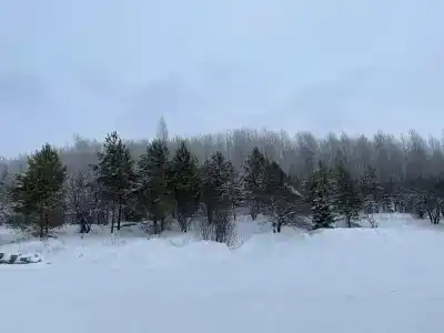 Медвежий угол - 42