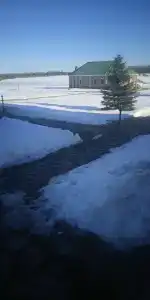 Королевская охота - 40