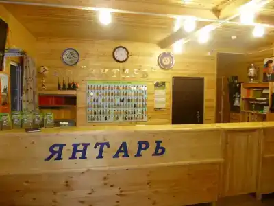 Янтарь - 13