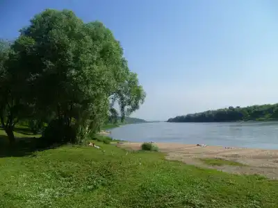 Янтарь - 35
