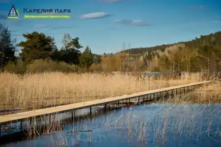 Карелия Парк - 20