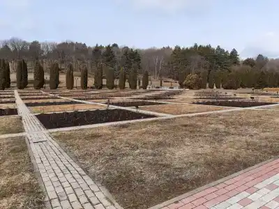 Фаворит - 18