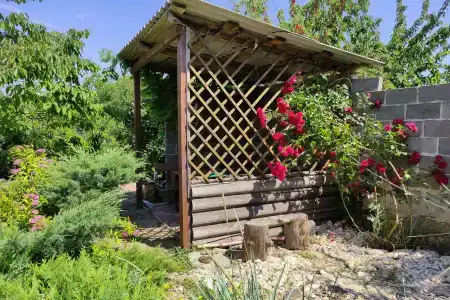 Фиолентовский - 3