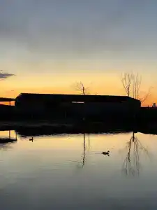 Беленджер - 4