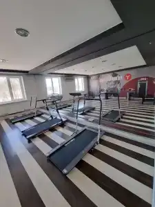 Апельсин - 65