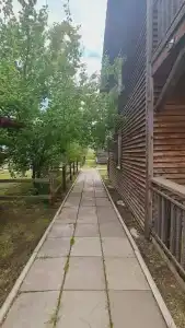 Розовый Фламинго - 33