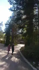 Пухтолова Гора - 26