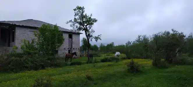Орлиный берег - 14