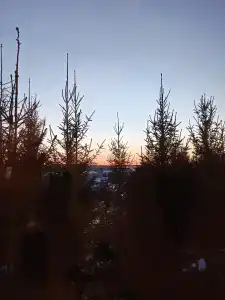 Холмистый - 45