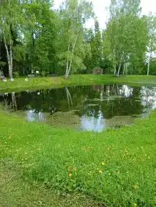 Санаторий - 52