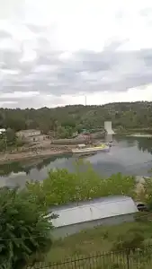 Березка - 6
