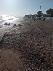 Жемчужина - 40