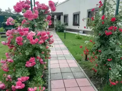 Тихая Гавань - 78