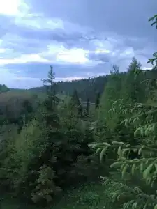 Горная Поляна - 60
