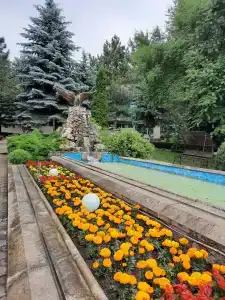 Лесной - 41