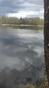 Васильево - 18