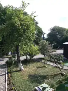Дорожник - 30