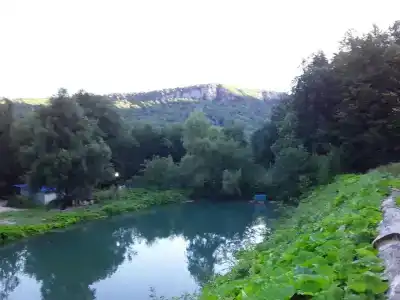 Цица - 2